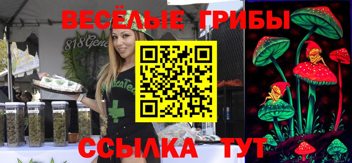 Тамбов  Галлюциногенные грибы Magic Shrooms  Псилоцибиновые грибы прущие грибы  где купить наркоту  Вход с VPN 