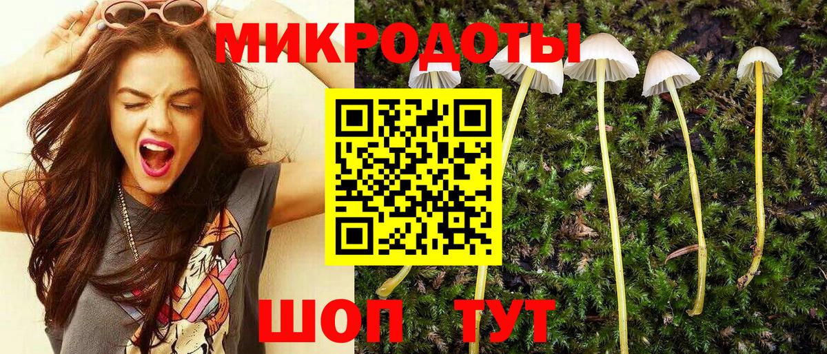Псилоцибиновые грибы MAGIC MUSHROOMS Тамбов